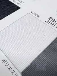 2900 [Resina] Foto secundária