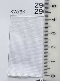 2900 [Resina] Foto secundária