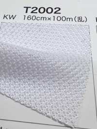 T2002 [Resina] Foto secundária