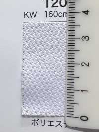 T2002 [Resina] Foto secundária