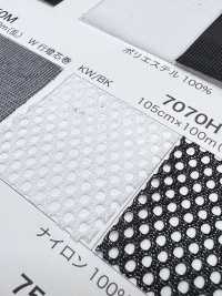 7070H [Resina] Foto secundária