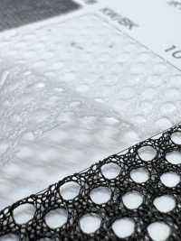 7070H [Resina] Foto secundária