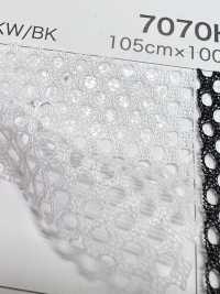 7070H [Resina] Foto secundária