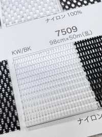 7509 [Resina] Foto secundária