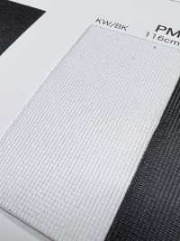 PM2900 [Resina] Foto secundária