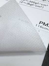 PM2900 [Resina] Foto secundária