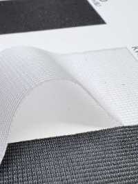 PM2900 [Resina] Foto secundária