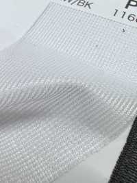 PM2900 [Resina] Foto secundária