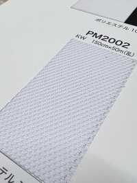 PM2002 [Resina] Foto secundária