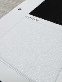 PPM-2 [Resina] Foto secundária