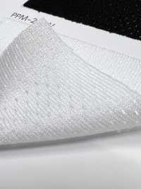 PPM-2 [Resina] Foto secundária