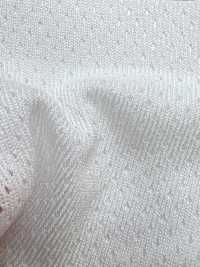 PPM-2 [Resina] Foto secundária