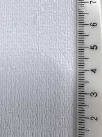 PPM-2 [Resina] Foto secundária