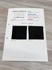 PPM-2 [Resina] Foto secundária