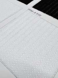 PPM-4 [Resina] Foto secundária