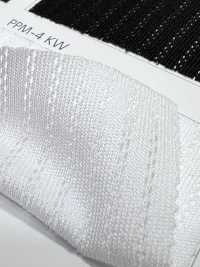 PPM-4 [Resina] Foto secundária