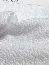 PPM-4 [Resina] Foto secundária