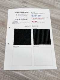 PPM-4 [Resina] Foto secundária