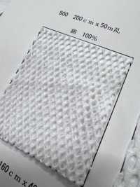 800 [Resina] Foto secundária