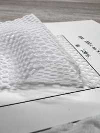 800 [Resina] Foto secundária