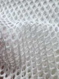 800 [Resina] Foto secundária