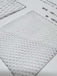 MY45 [Resina] Foto secundária