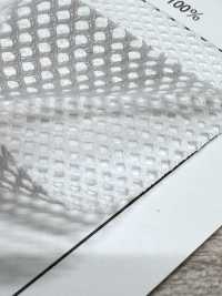 MY45 [Resina] Foto secundária