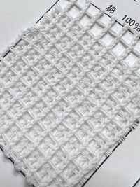 1430 [Resina] Foto secundária