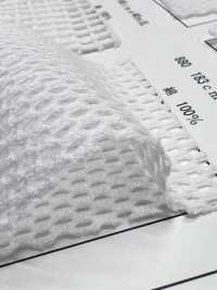 880 [Resina] Foto secundária