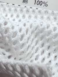 880 [Resina] Foto secundária