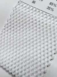 8800 [Resina] Foto secundária