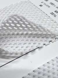 8800 [Resina] Foto secundária