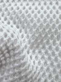 8800 [Resina] Foto secundária