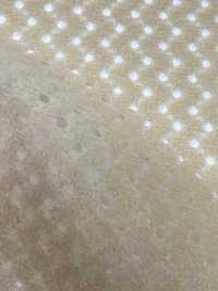 6400 [Resina] Foto secundária