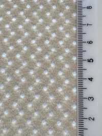 6400 [Resina] Foto secundária