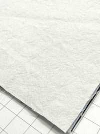 KINANADAKI-31 KINANADAKI 31, Fizz Fizz Fizz Fizz~~[Têxtil / Tecido] Komatsuwa Têxtil Foto secundária