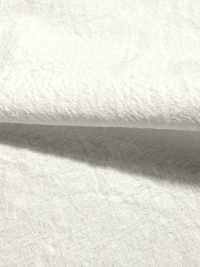 KINANADAKI-31 KINANADAKI 31, Fizz Fizz Fizz Fizz~~[Têxtil / Tecido] Komatsuwa Têxtil Foto secundária