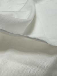 1078420-OUTLET Malha De Algodão ALBINI SEA ISLAND[Têxtil / Tecido] TAKISADA NAGOYA Foto secundária