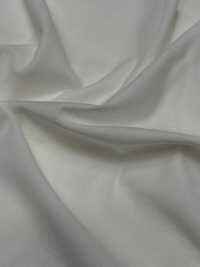 1078420-OUTLET Malha De Algodão ALBINI SEA ISLAND[Têxtil / Tecido] TAKISADA NAGOYA Foto secundária