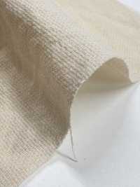 BC1867 Leno Weave Weave Dot Mesh[Têxtil / Tecido] COSMO TEXTILE Foto secundária