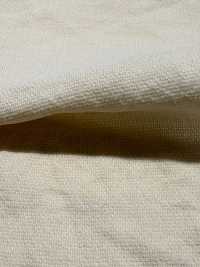 BC1867 Leno Weave Weave Dot Mesh[Têxtil / Tecido] COSMO TEXTILE Foto secundária