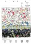7027-815-1 CR Lawn Botanical Small Flowers