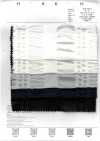 7027-636-2 Batista Organza Waffle Listrado 80
