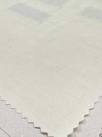 DWFM-DCGAEH0038W Tencel™ Algodão Lawn[Têxtil / Tecido] Foto secundária