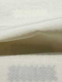 DWFM-DCGAEH0038W Tencel™ Algodão Lawn[Têxtil / Tecido] Foto secundária