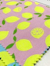 AP65103 Oxford Com Estampa Fluorescente (Rolo)[Têxtil / Tecido] COSMO TEXTILE Mais fotografias