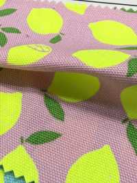 AP65103 Oxford Com Estampa Fluorescente (Rolo)[Têxtil / Tecido] COSMO TEXTILE Mais fotografias