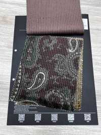 5025-1373-1 Padrão Paisley em veludo cotelê dobby de algodão e rayon[Têxtil / Tecido] HOKKOH Mais fotografias