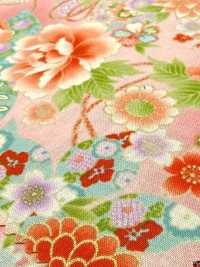 850628 Cambraia floral com padrão japonês dourado, peônia, crisântemo, malva-rosa e tambor[Têxteis / Tecidos] VANCET Mais fotografias