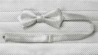 CM-985 Seda Doméstica Jacquard Cummerbund Moss Stitch Padrão Cinza Claro[Acessórios Formais] Yamamoto(EXCY) subfoto